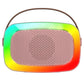 IQ Sound IQ-908K Mini Karaoke Bluetooth Speaker with Wireless Microphone, RGB Lights Surround, Fun Voice Changing in Rechargeable Compact, and