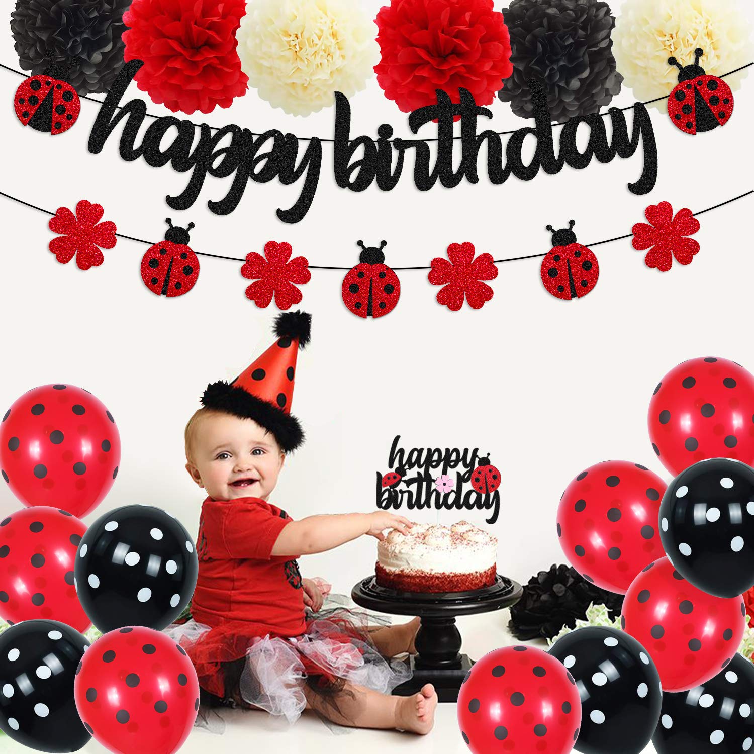 Ohiviaaa Ladybug Birthday Decorations Ladybird Happy Birthday Banner Ladybeetle Cake Topper Black Red Latex Balloon Pom Pom Flowers for Ladybug Theme