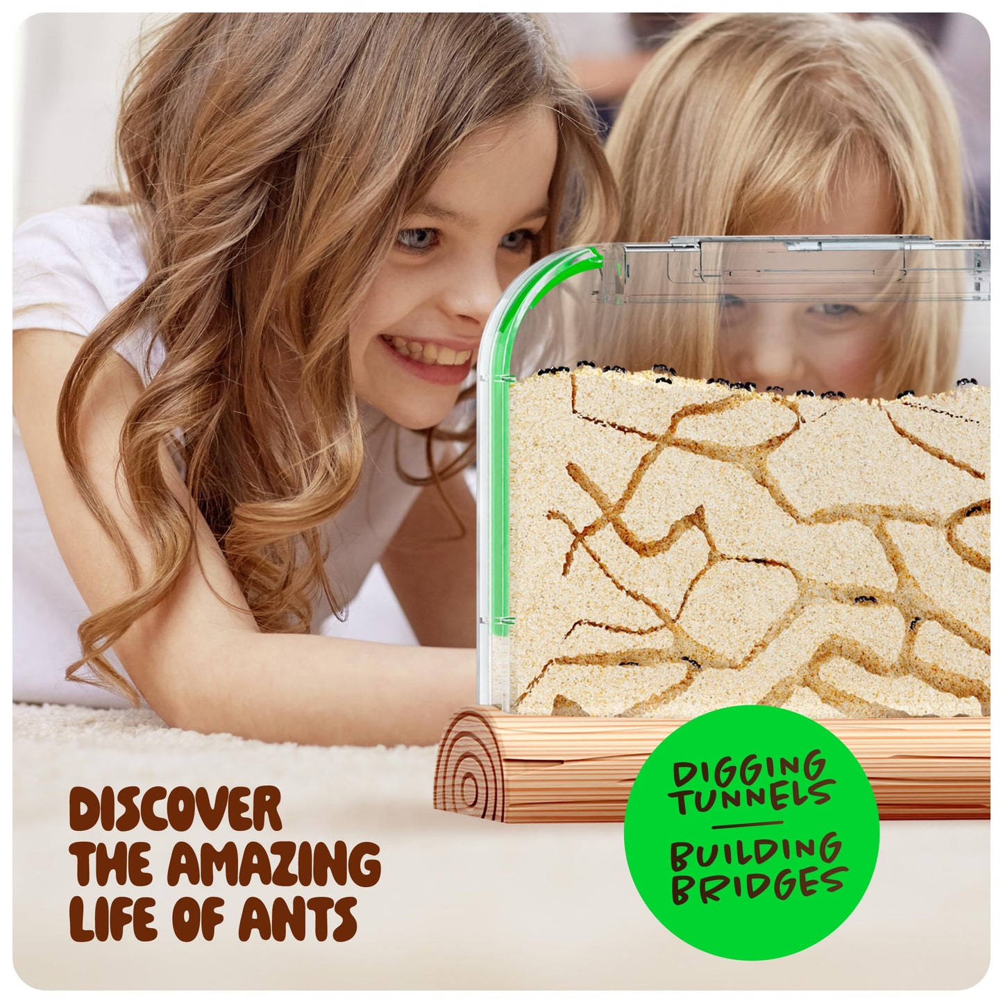 Dan&Darci Ant Farm Kit for Kids - Farms Colony - Includes Ants Voucher - Sand Habitat Kits - Bug Terrarium House - Educational Science Gifts for Kid