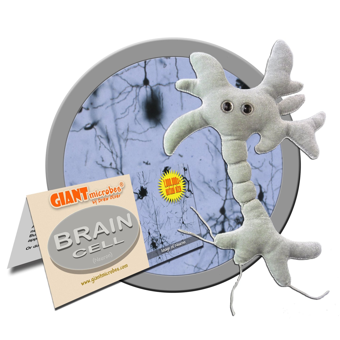 GIANT MICROBES Brain Cell Plush, Neuron Model Anatomy, Psychology Gifts
