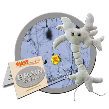 GIANT MICROBES Brain Cell Plush, Neuron Model Anatomy, Psychology Gifts