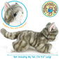 TigerHart Gavin The Grey Tabby Cat - 13 Inch Stuffed Animal Plush
