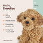 Bearington Lovely Doodles Caramel Dog Stuffed Animal 14 in - Puppy Stuffed Animals - Plush Dog Toys for Kids Goldendoodle Labradoodle Plushies -