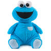 GUND Sesame Street Oh So Snuggly Cookie Monster 12.5-Inch Plush Toy, Age 0+