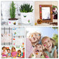Habett 3D Stickers for Kids & Toddlers, 920+ 3D Puffy Stickers 36 Different Sheets Including Animals, Letters, Numbers, Dinosaurs, Cars and More