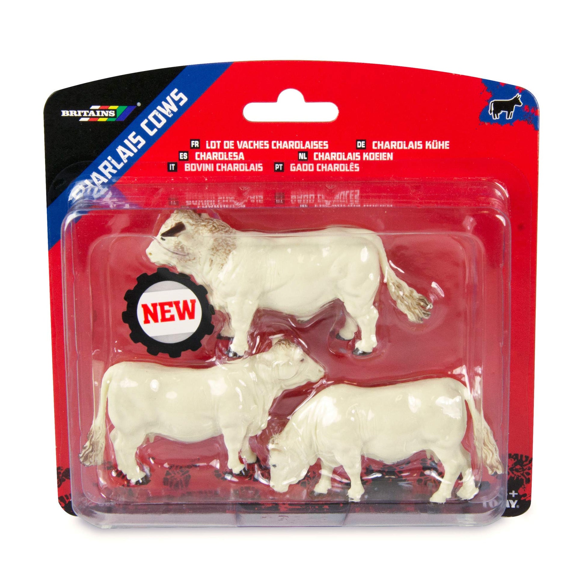 2019 43240 Charolais Cows