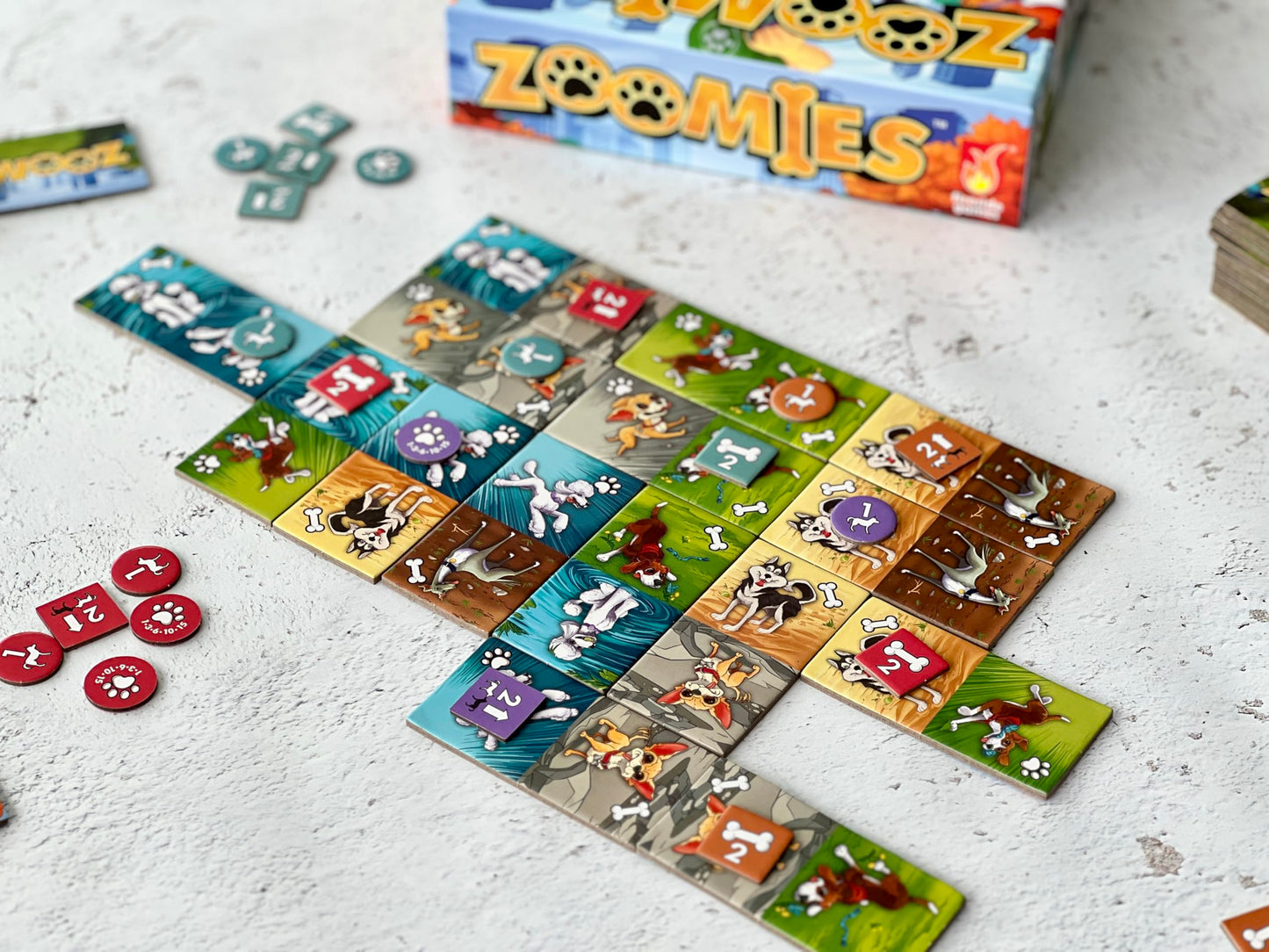 Fireside Games Zoomies - Fast-Paced Dog Walking Family Card Board Game Fun for All Ages Quick Play 2 to 4 Players Ages 10+