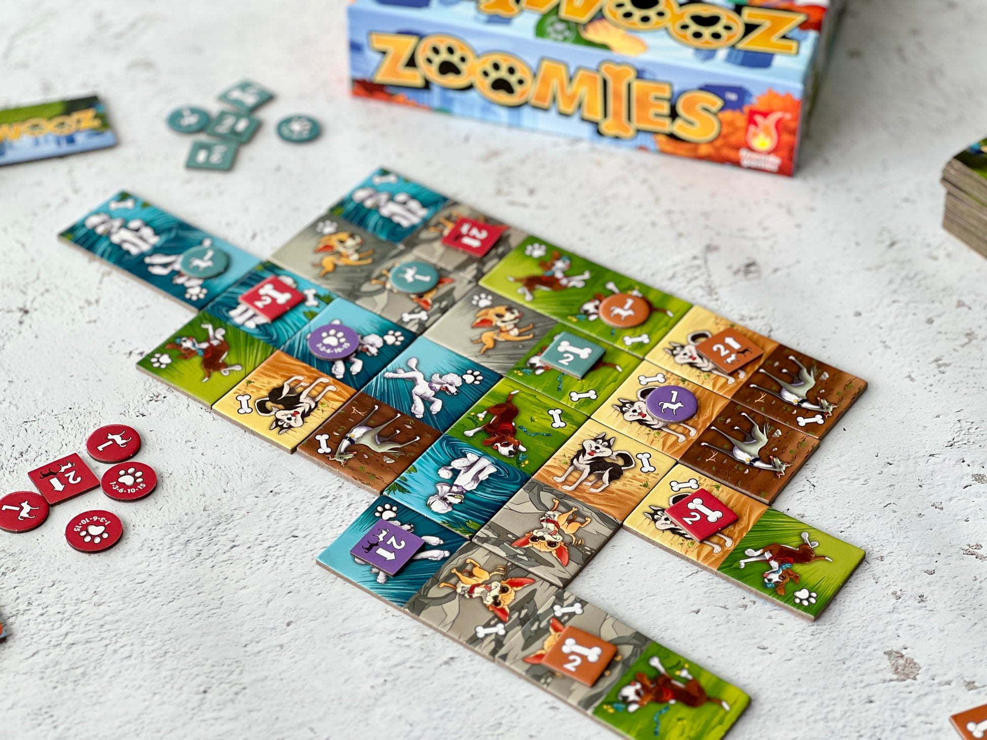 Fireside Games Zoomies - Fast-Paced Dog Walking Family Card Board Game Fun for All Ages Quick Play 2 to 4 Players Ages 10+