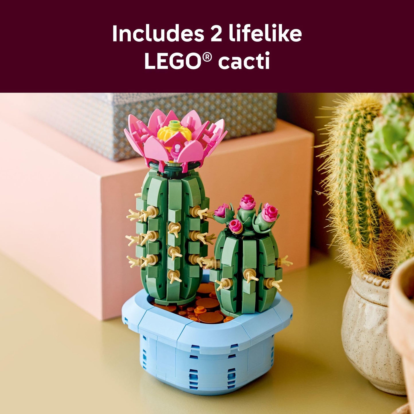 LEGO Botanicals Flowering Cactus Building Toy - Crafting Kit for Girls & Boys, Ages 9+ - Gift for Birthdays - Cactus Room Decor for Display
