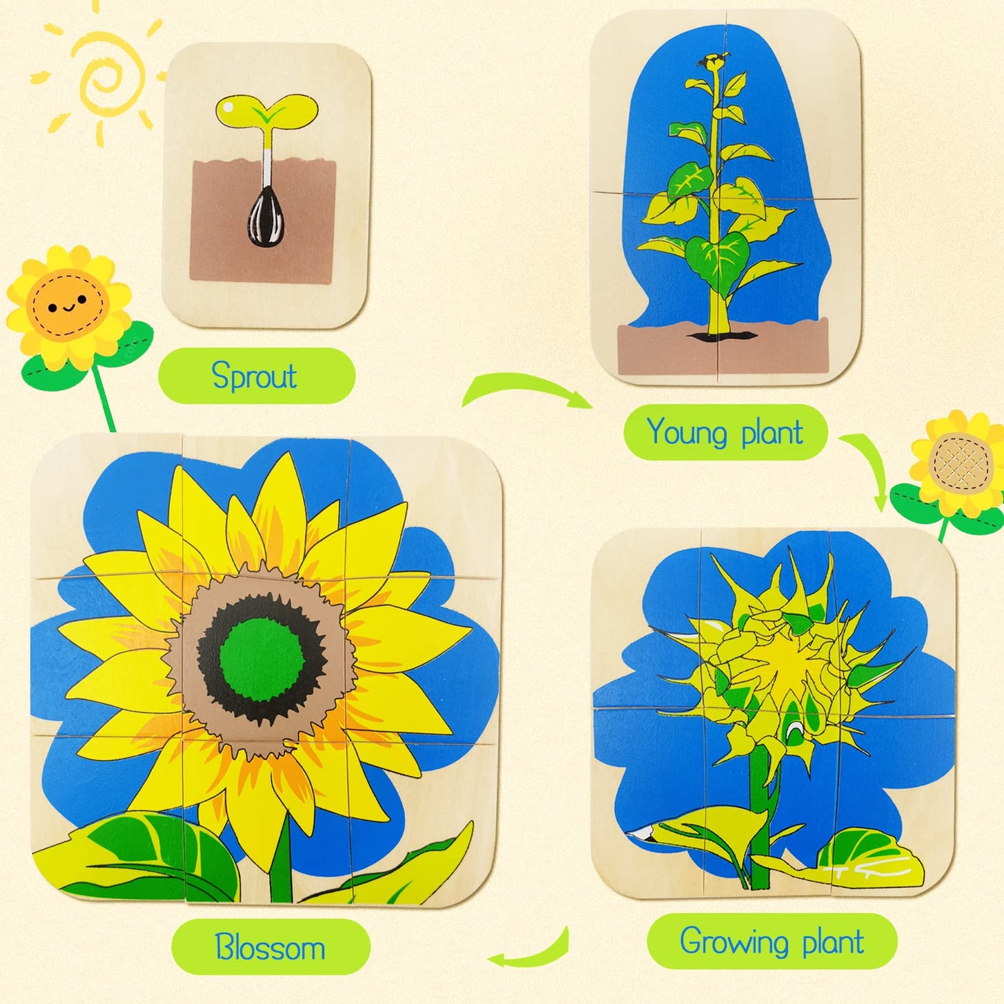 Montessori Wooden Puzzles for Kids Ages 4-8, 4 Layer Life Cycle Of Sunflower Jigsaw Puzzle for Toddlers, Children Preschool Learning Educational