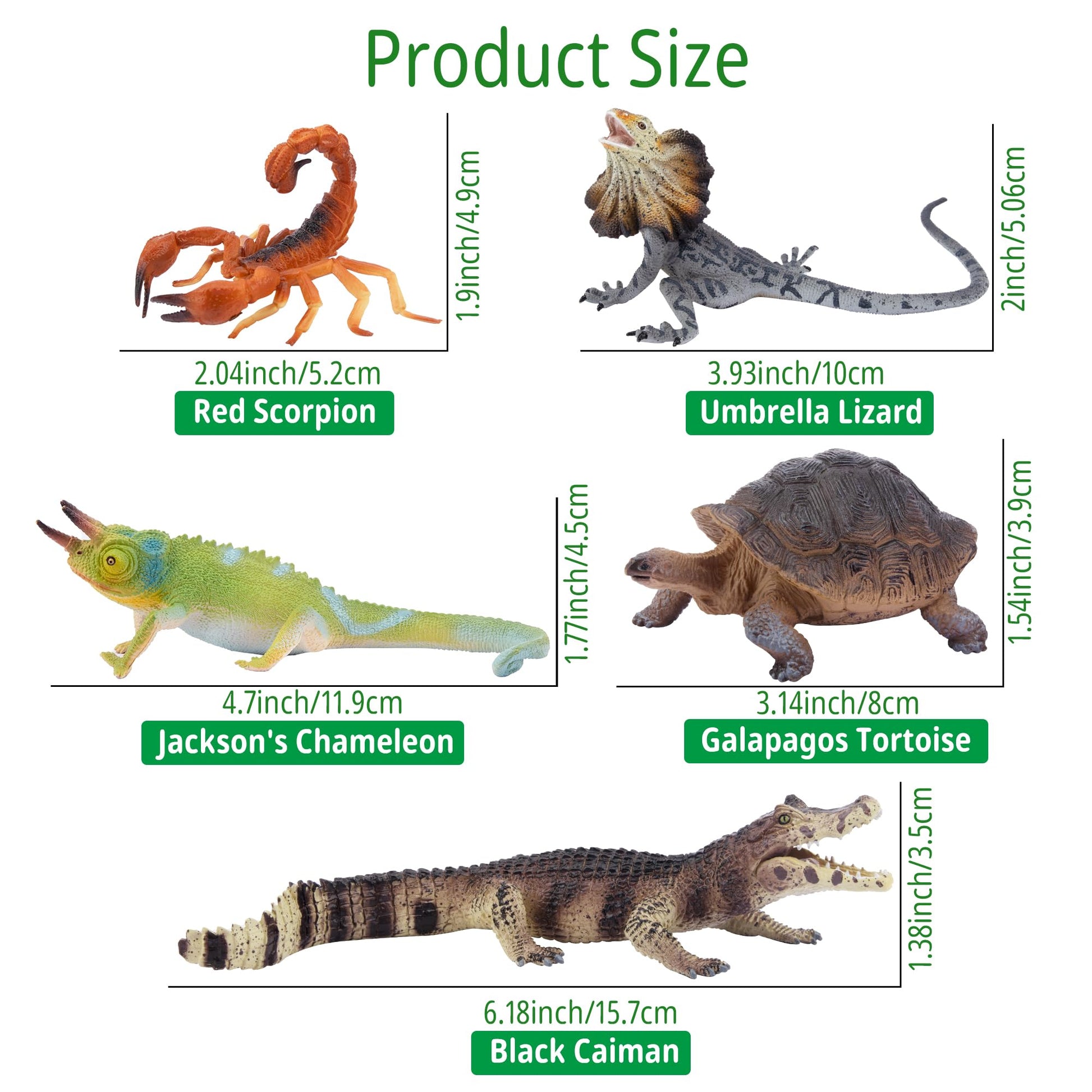 Toymany Reptile Animal Figurine Toys Set, 12 PCS Halloween Desert Amphibians Animal Figures with Komodo Dragon Lizard Snake Chameleon Rainforest Cold