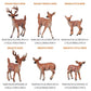 JOKFEICE Deer Toys - 6pcs Realistic Deer Woodland Animals Figurines - Early Educational Toys, Birthday Cake Topper for Kids