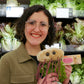 GIANTmicrobes E. Coli Plush, Microbiology Gifts, Gastroenterologist Gift, Gastroenterology Gifts, Gut Microbiome, Medical Laboratory Scientists, Petri