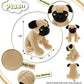 DolliBu Sitting Pug Stuffed Animal Dog Plush Toy, Kids & Adults Huggable Puppy Cuddle Gifts, Cute Stuffed Animals for Toddler & Baby First Teddy Bear