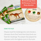 SimplyFun Dinosaur Challenge - Learn About Dinosaurs and Situational Analysis - Engaging and Educational Kids Card Game - 2 to 4 Players - Ages 7 & Up