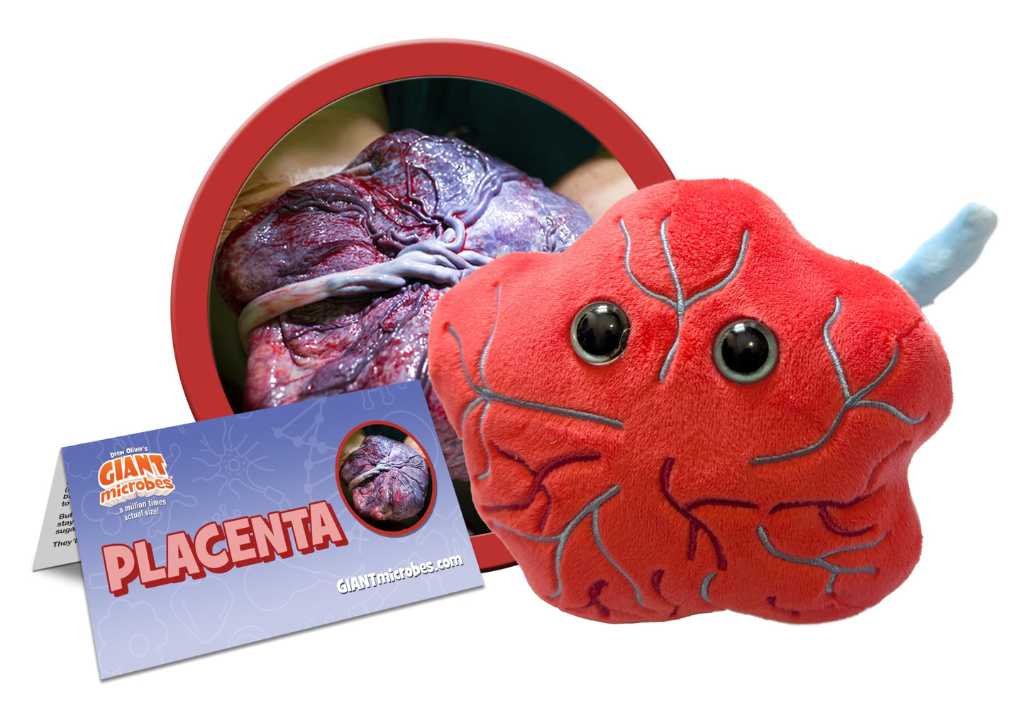 GIANT MICROBES Stuffed Placenta Plush, Uterus Plush, Funny OBGYN Gifts, Labor and Delivery Nurse Gifts, Placenta Model, Biology Models, Postpartum