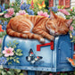 Ceaco - Cat Nap - 500 Piece Jigsaw Puzzle for Adults