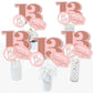 Big Dot of Happiness 13th Pink Rose Gold Birthday - Happy Birthday Party Centerpiece Sticks - Table Toppers - Set of 15