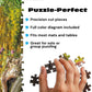 Buffalo Games - Wild Neuschwanstein - 1000 Piece Jigsaw Puzzle for Adults