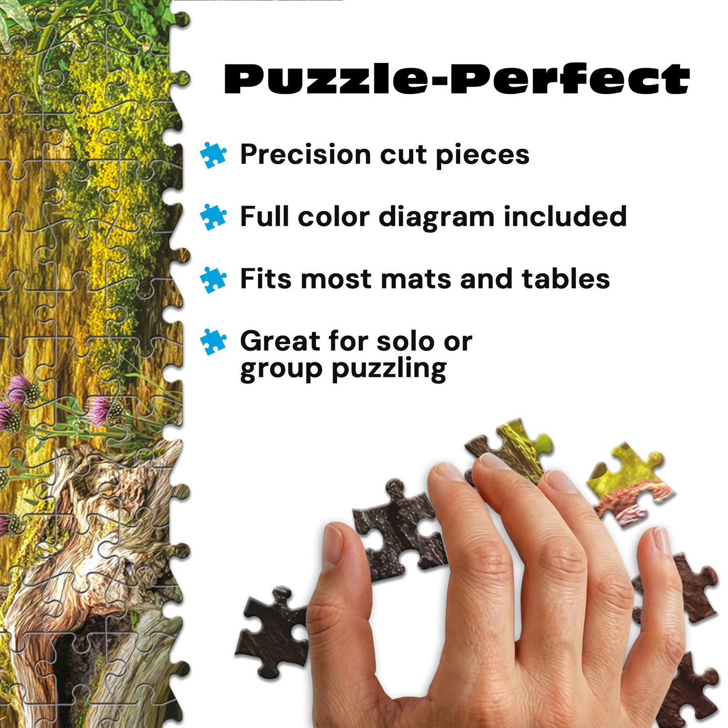 Buffalo Games - Wild Neuschwanstein - 1000 Piece Jigsaw Puzzle for Adults