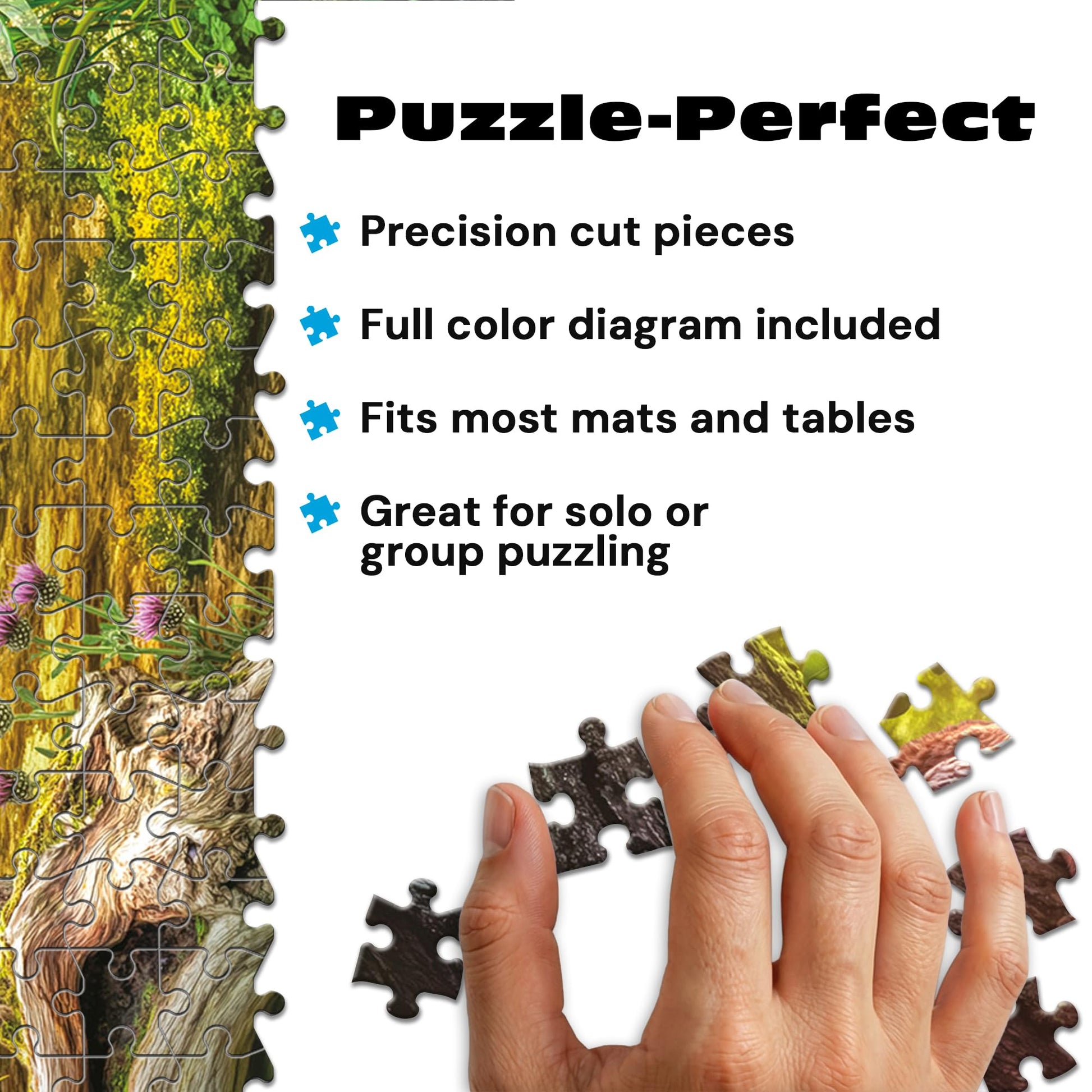 Buffalo Games - Wild Neuschwanstein - 1000 Piece Jigsaw Puzzle for Adults