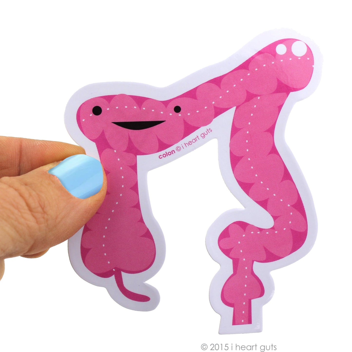 I Heart Guts Pile of Colon Stickers - 15 Colon Stickers - Funny Digestive Organ Vinyl Sticker Pack for Laptops, Journals, Gifts, and Medical Nerds