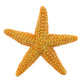 Safari Ltd. Starfish Figurine - Vibrant 4.5" Sea Star Figure - Educational Toy for Boys, Girls, and Kids Ages 3+