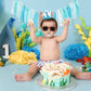 LINLULU The Big One Birthday Crown for Baby Boys - 1st Hat, Beach Party Supplies, Surfs Up Decorations, Boys Outfit