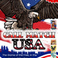 CALL.MATCH CALL MATCH USA! 250th Anniversary American Culture Matching Game | 2-25 Players | Game for All Ages