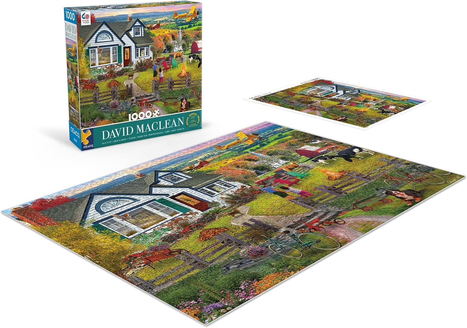 Ceaco - David MacLean - The Fly by - 1000 Piece Jigsaw Puzzle