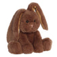 Aurora Vibrant Spring Candy Cottontail Stuffed Animal - Decorative Companion - Endless Fun - Chocolate 8 Inches
