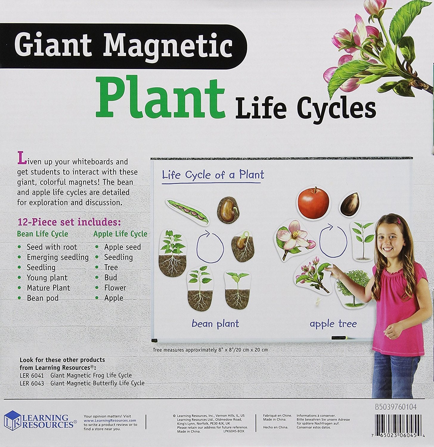 Learning Resources Giant Magnetic Plant Life Cycle - STEM Growing Seed, Montessori Tree , Biology Cards, Classroom Teacher Must Haves Activities