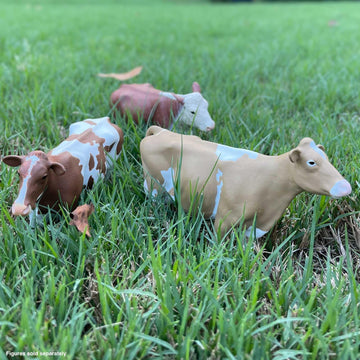 Safari Ltd. Guernsey Cow Figurine - Lifelike 5" Farm Animal Figure - Educational Toy for Boys, Girls, and Kids Ages 3+