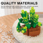 Sawaruita 10 Pack Succulent Mini Plant Building Blocks Set for Adults