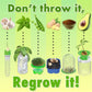 ReGrow Science Kit for Kids 8+ - Replant Simple Ingredients to Generate New Plants! 15+ Experiments - 12 Tools Included - Growing Kits for Kids Boys