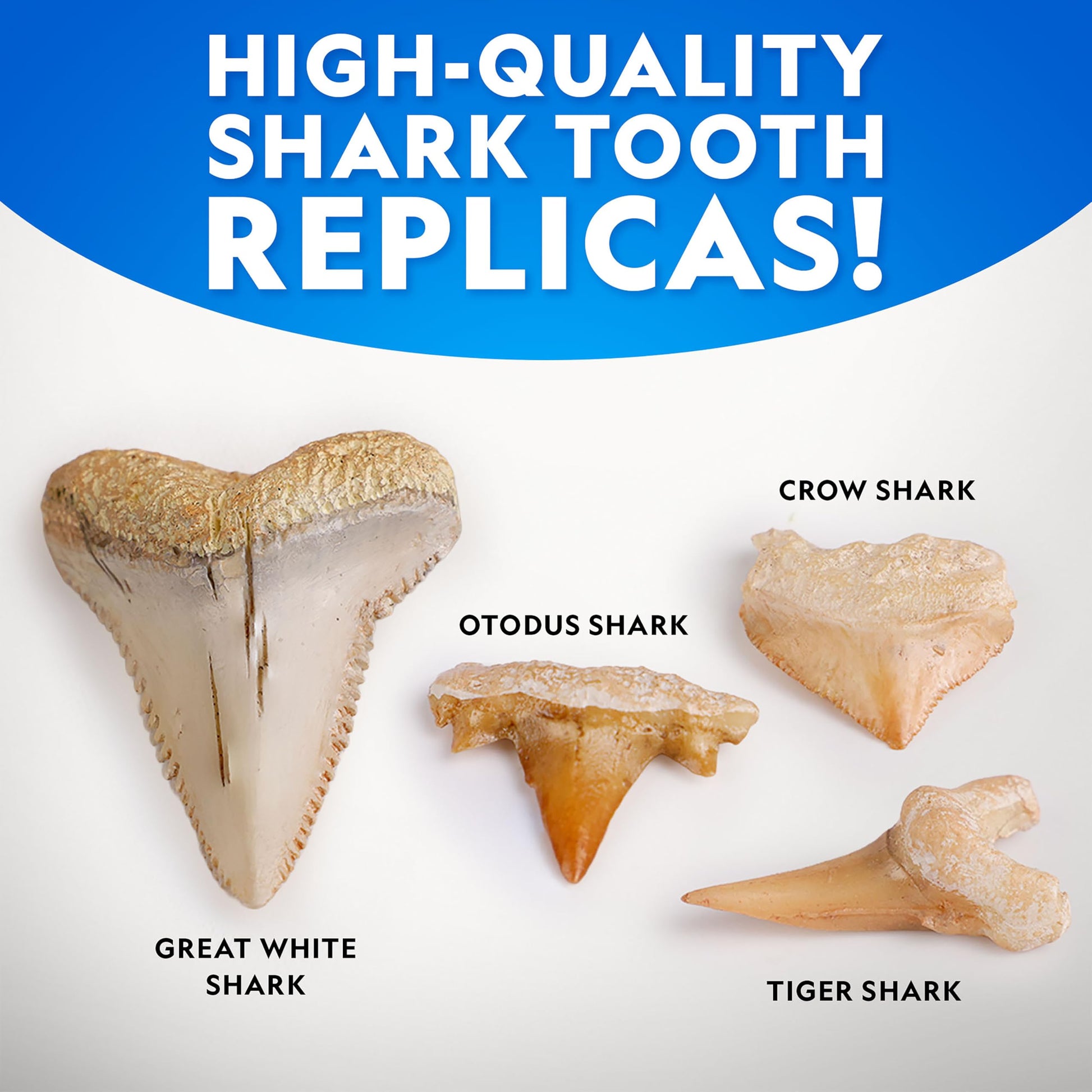 National Geographic Shark Tooth Fossil Dig Kit and Necklace for Kids