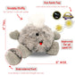 Celestial Buddies Comet Buddy | 8" Soft Stuffed Plush, Embroidered Features, Fun Facts Tag for Kids - STEM Learning, Educational Gift, Classroom