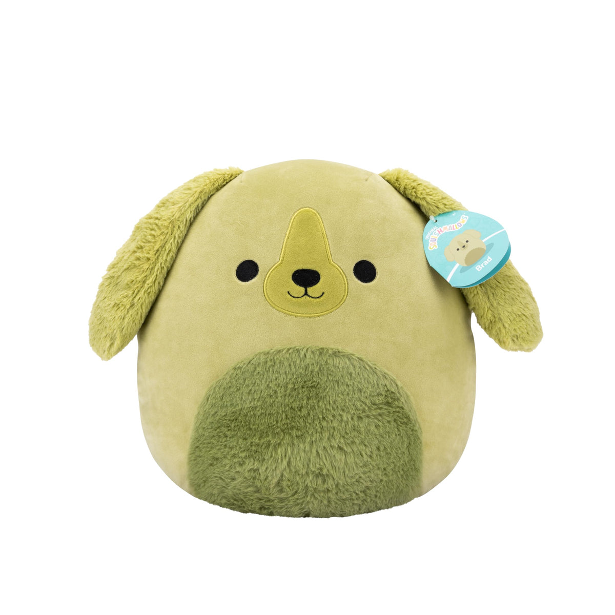 Squishmallows Original 12in Brad The Green Retriever Dog - Official Jazwares Plush (Medium-Sized)