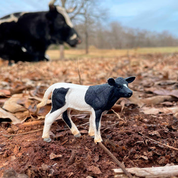 Safari Ltd. Holstein Calf Figurine - Detailed 3.25" Plastic Model Figure - Fun Educational Play Toy for Boys, Girls & Kids Ages 3+