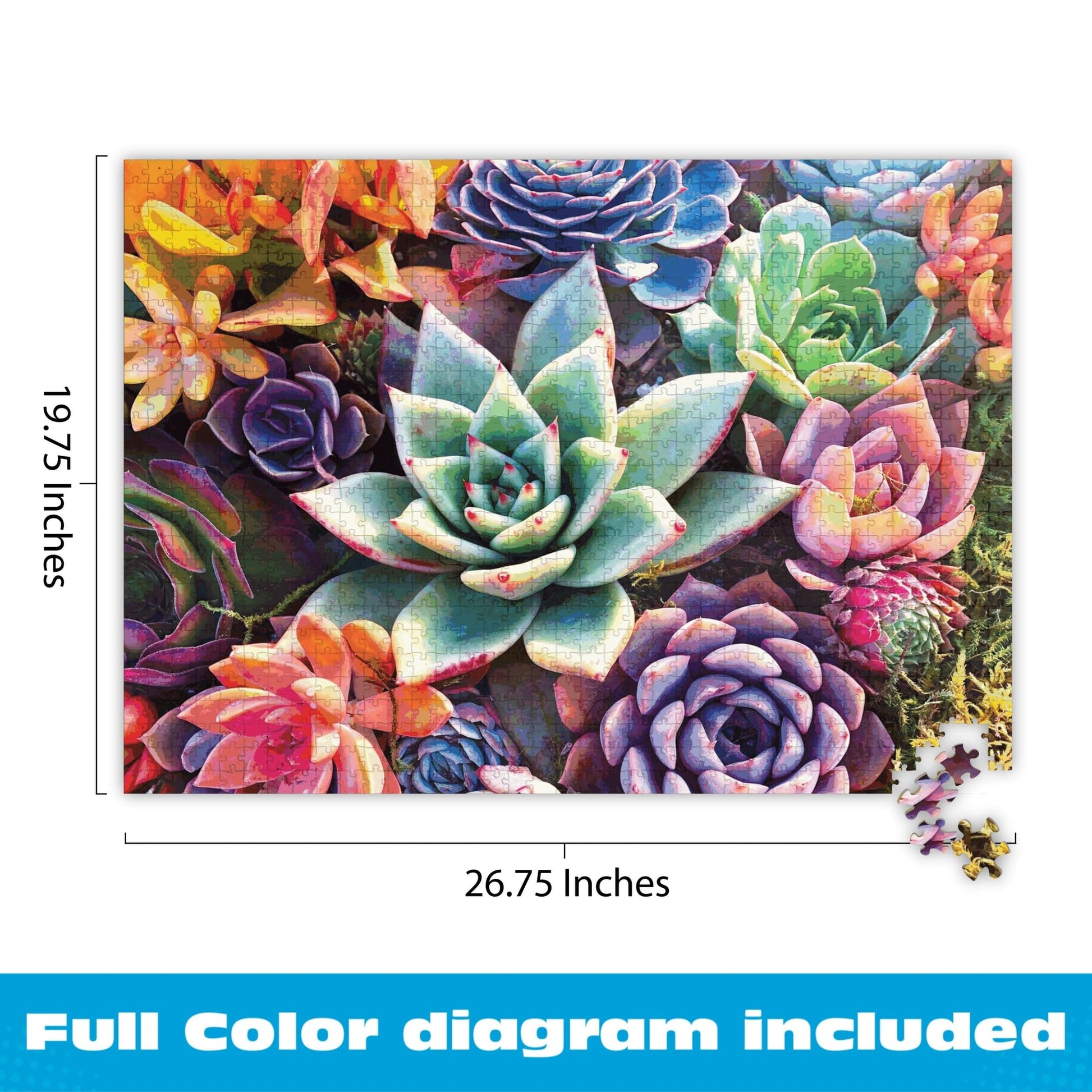 Buffalo Games - Simple Succulent - 1000 Piece Jigsaw Puzzle for Adults