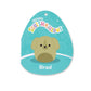Squishmallows Original 12in Brad The Green Retriever Dog - Official Jazwares Plush (Medium-Sized)