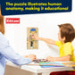 Kidzlane Boy Wooden My Body Puzzle for Toddlers & Kids - 29 Piece Boys Anatomy Puzzle Kid Play Set - Anatomy for Kids, Skeleton Toys for Children Ages