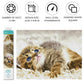 DIAMOND DOTZ Baby Pie Cat Diamond Painting Kits for Adults - Diamond Art Kits a Relaxing Creative Craft Kit with Dotz Gems 12.2"x16.1"