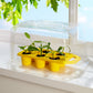 Matchbox Grow Pro Playset