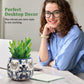 3D Puzzle Planter - No Glue Required UV Printing Unique 3D Puzzle Vase