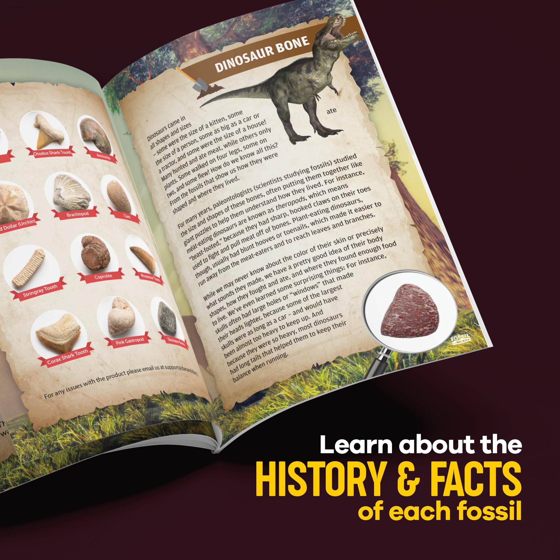 Dan&Darci Real Fossil Dig Kit for Kids - Science Kits for Boys & Girls Age 8-12 - Birthday Gift Ideas for 8, 9, 10, 11, 12 Year Old Boy or Girl