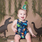 Agvgaza Green Dinosaur 1st Birthday Hat - Green Crown Cone Hat for Boy, Dinosaur One Birthday Decorations, Cake Smash, Photo Outfit, Party Theme