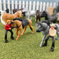 Safari Ltd. Horse Lovers TOOB - 8 Figurines: Gypsy Vanner, Clydesdale, Arabian, Percheron, Quarter, Palomino, Cowboy, Cowgirl - Educational Toy