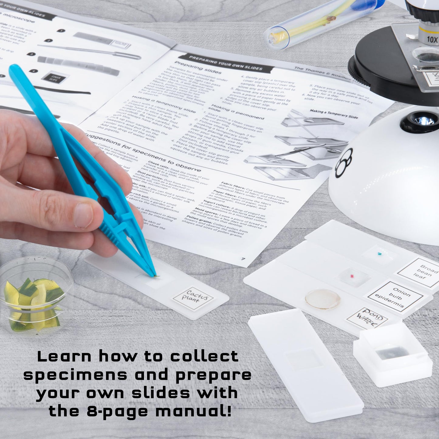 The Thames & Kosmos Microscope Essential STEM Tool with Smartphone Adapter to Capture & View Microscopic Images, Entry-Level Student Science Device