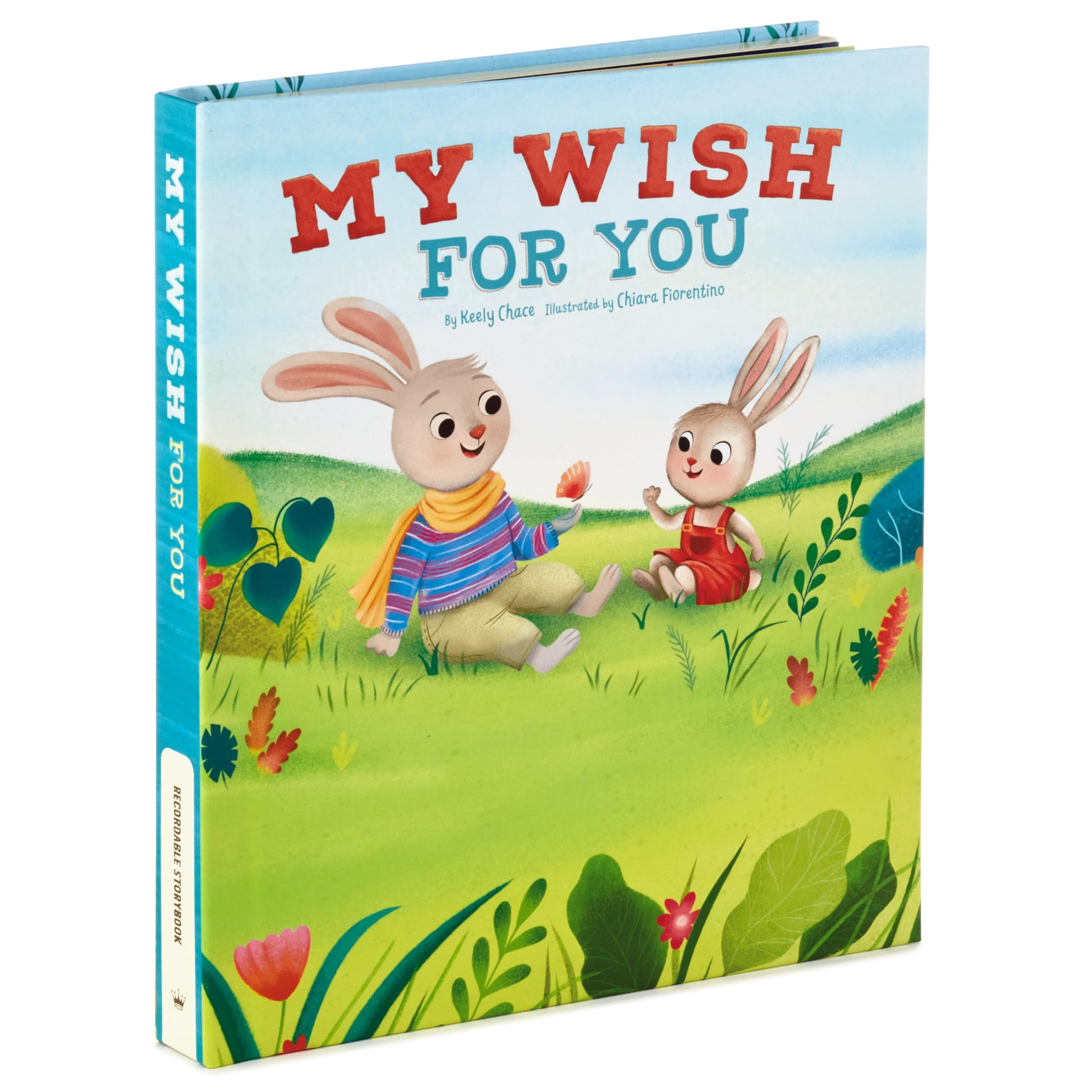 Hallmark Recordable Book for Children (My Wish for You) Easter Basket Stuffers